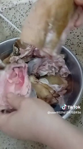 طريقة تحضير الباجة بخطوات سهلة