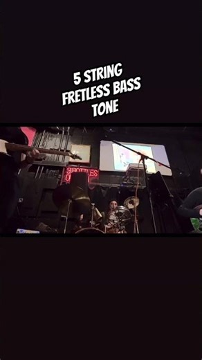 LIVE Fretless 5 String Bass Tone w/ CBC #fretlessbass #jazzbass #guitar