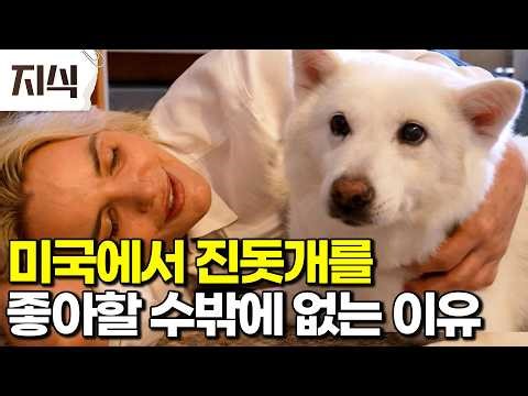 "I've never seen a dog like this before." The abilities of the Korean Jindo dog are now even more...