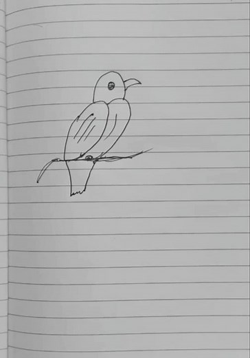 How to Draw a Bird Step by Step | Easy Bird Drawing for Beginners #drawing #art #shorts