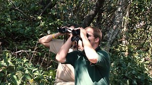 Getting started in the world of bird watching couldn't be easier. Your journey begins the moment you step outside. Want to be a birder? Here are some tips to get you started! | NC Wildlife Resources Commission