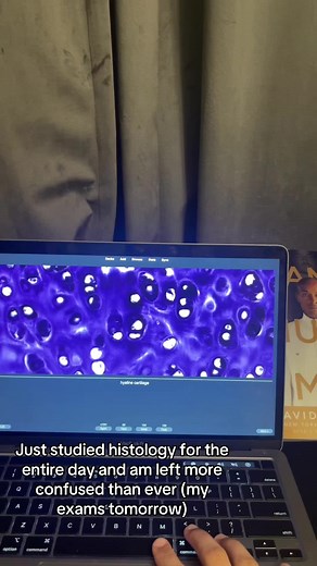 ritikajain on TikTok