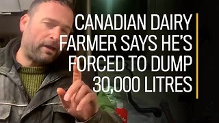Why the price of milk in Canada has increased