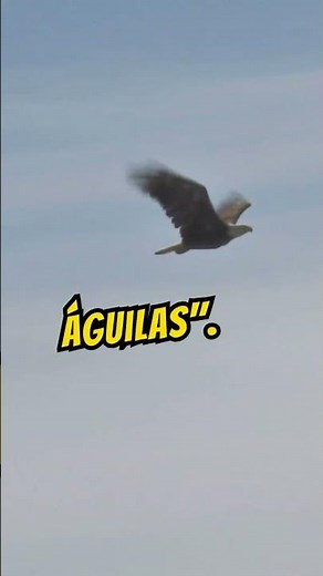 Ejemplos de RESILIENCIA: Historias Inspiradoras