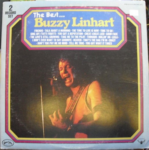 Buzzy Linhart - The Best...