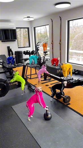 Tika & Kala on Instagram: "Walking in the gym on January 1st 👀"