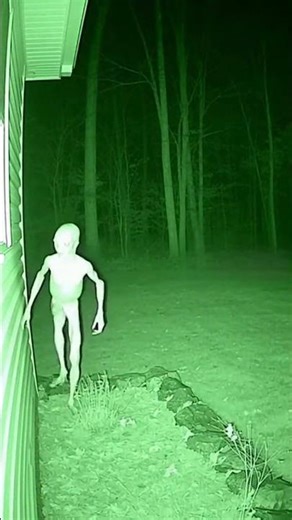 👀🟢 Night Vision SHOCK: Night Vision Camera Spots STRANGE Humanoid Creature Near Our House!