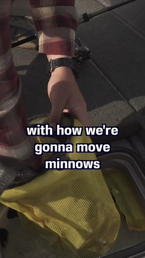 6.6K views · 140 reactions | A jig and minnow is a popular rig to catch early season walleye. Here is one way to transport bait safely & legally while protecting our natural resourses. #fishing #MNTraditions #AISawareness #Minnesota | Minnesota Traditions | Facebook