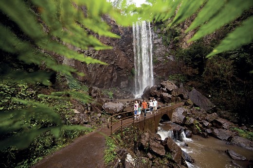 How to Do: Queen Mary Falls Circuit - Southern Downs & Granite Belt