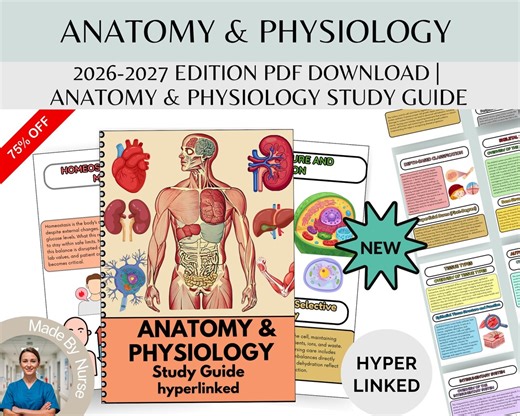Anatomy & Physiology Study Guide: Complete AP Notes,Diagrams,Exam Prep and Quick Reference for Nursing and Medical Students