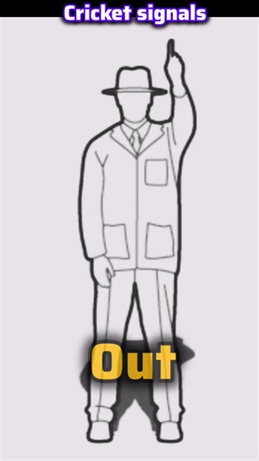 LNIPE PHY- EDUCATION HOME on Instagram: "Cricket signal #cricketumpire #cricketlovers #cricketlover #cricketfans #cricketground #cricketmarkings #cricketmerijaan #cricketupdates #cricketgirls #cricketboys #cricketcoach #cricketlife #cricketreels #cricketworld #cricketcoaching #cricketforever #ipl2025 #ipl #physicaleducation #physicalesucationteacher #physicaleducationquestions #sports #games"