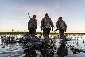 My Learnings From a Stuttgart Duck Opener Experience