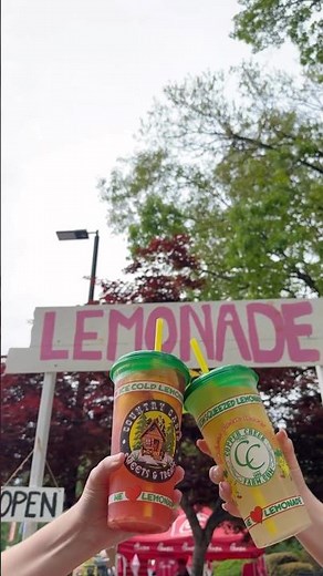 Lemonade Days 2026 in Dunwoody 🍋🎡