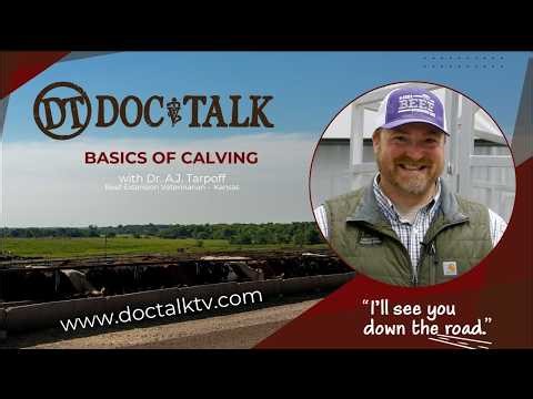 DocTalk Ep 718 Calf Care with A.J. Tarpoff