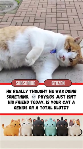 GRAVITY 1 - CAT 0: Wait for the end to see the confusion! 📉🤣