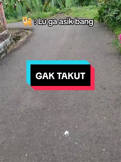 Cara Tepat Bermain dengan J&T Express