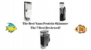 Best Nano Protein Skimmer - 7 Best (2024 Reviews)
