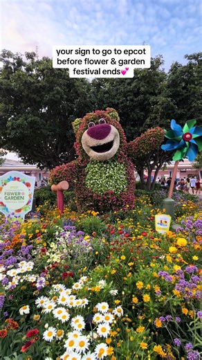 ✨✨✨✨✨ #epcot #disney #lotso