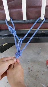 193K views · 1.7K reactions | Tip of tying Alpine butterfly loop work together with bowline knot. #woodbundlehitch #ropeladderknot #lashingknot #climbingnet #essentialknots #knottying #tyingknots #bowlineknot #reels #knots | Millie | Facebook