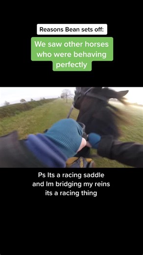 Understanding Bean's Triggers: Racing Saddle and Reins Bridging