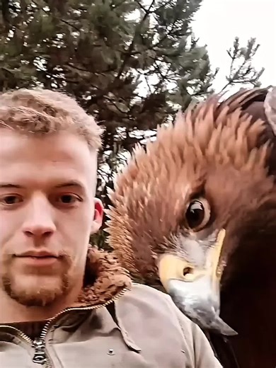 Birds screaming 😱 #hoanera #edits | bird