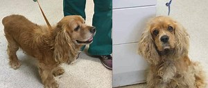 23K views · 615 shares | HAPPENING RIGHT NOW! URGENT medical...