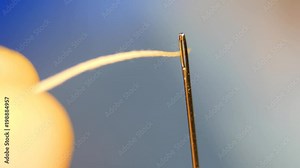 Threading the eye of a needle. Pulling the thread into the needle eye of the sewing needle.