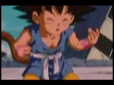 Kakarot! You're a..