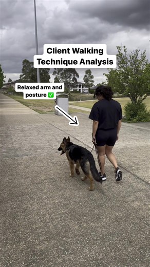 5-Month-Old German Shepherd Puppy Training Techniques