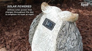 Watch Solar Powered Owl Statue, Plastic Statuary Decor on Amazon Live