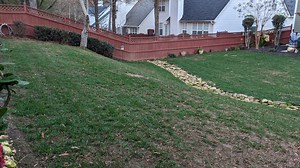 Reduce the grade/slope of yard