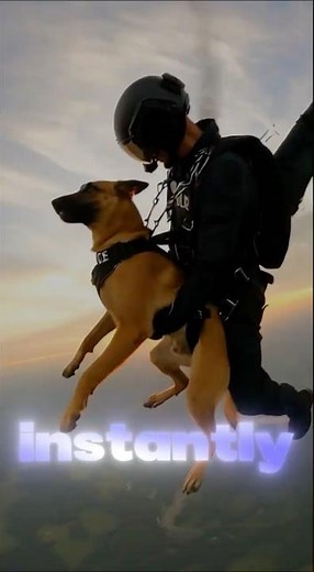 Skydiver Rescued by Hero Dog Mid-Air!