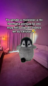 Soy jajajaja #song #humor #meme | Sarcastiquita