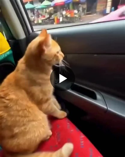 #livecctvmonitoring #remotecctvmonitoring #businesssecuritysystems #operationalsecurity #videomonitoring #aisurveillance #riskmanagement #securitytechnology #surveillancesystems #remotemonitoring… | Global CCTV Monitoring Services