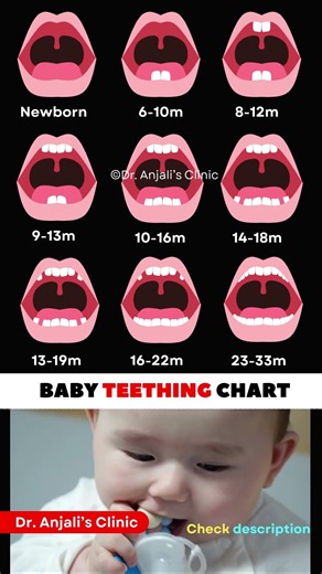 Baby Teething Chart: What to Expect & When! 🦷 #shorts