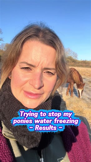 Tips to Prevent Water from Freezing for Horses