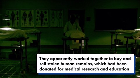 Artist bought ‘real human skull’ from Harvard morgue manager, sold as creepy doll on Instagram