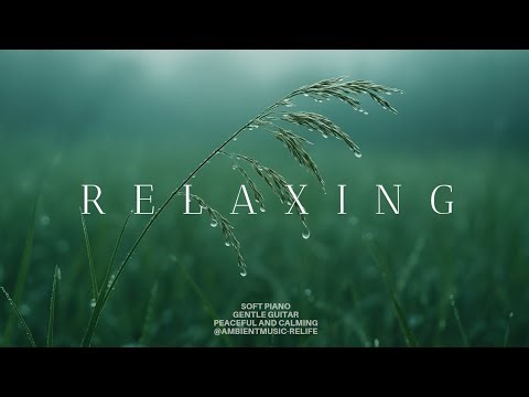 [Ambient music]🌱 for stress relief √ meditation music for sleep and relaxation √ sleep music√