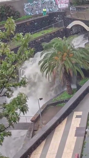 Barranco del Camino del Hierro, en Santa Cruz de Tenerife