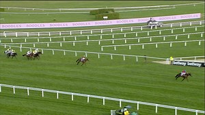 Sit back and relax 🍿 Rewatch the full Cheltenham Racecourse Gold Cup on a day of Irish dominance 🇮🇪 | Horse Racing Ireland