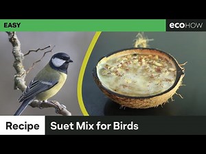 How to make suet mix for birds