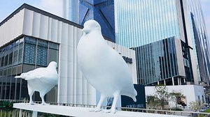 Esculturas de aves blancas entre rascacielos en China
