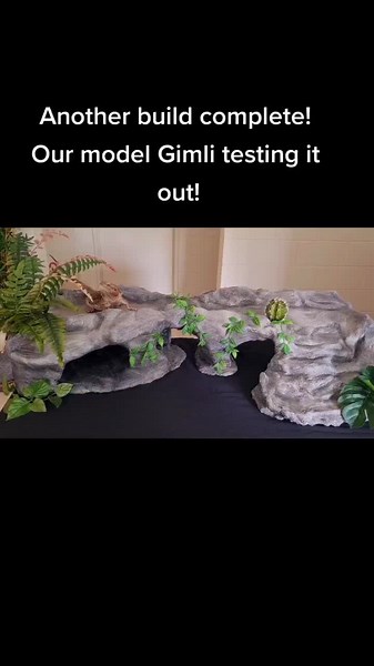 DIY Cave for Bearded Dragons: Enhance Their Habitat