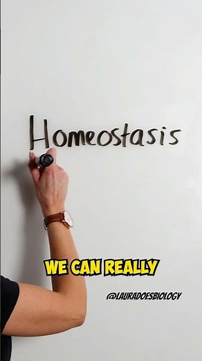 Understanding Homeostasis: Key Concepts Explained ...#shorts