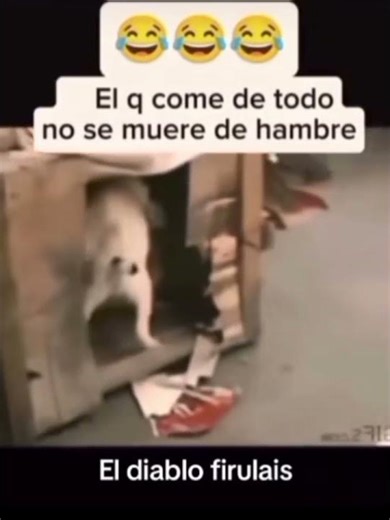 el que come de todo no se muere de hambre #meme #humor #shorts