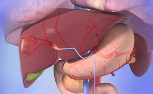 Sorry, we have encountered a problem. - Alexander Street, a ProQuest Company