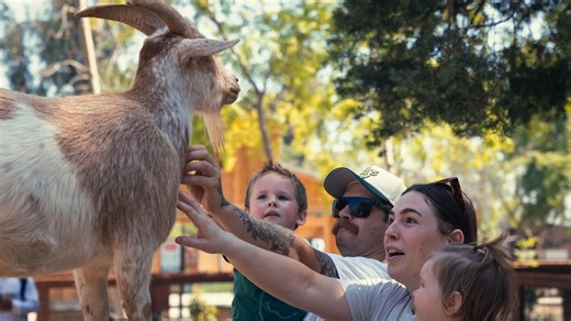 Fresno Chaffee Zoo is more than a destination — it’s our Zoo. It’s where generations of Central Valley families have discovered wonder, made memories, and watched this community treasure grow. Today, you can help shape the Zoo’s future and make its magic accessible to everyone. Your gift supports programs like Welcome Wednesdays, offering $5 admission for families receiving SNAP benefits, and After School at the Zoo, where students from underserved neighborhoods find confidence, creativity, and 