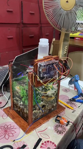 Automatic Fish Feeding System Journey