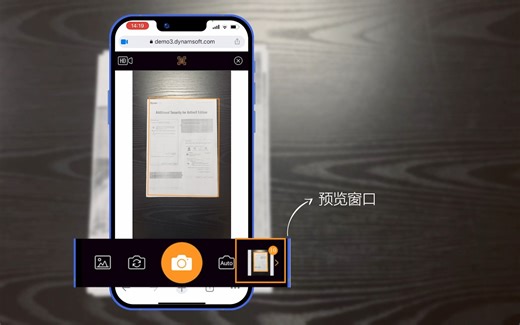 Dynamic Web TWAIN 摄像头附加组件开发与使用