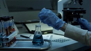 455 reactions · 28 shares | Discover the truth about WCKD. Maze...